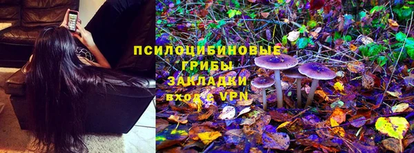 индика Струнино