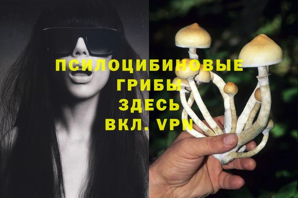 скорость Вязьма