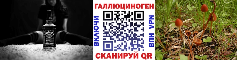 наркошоп  Каргат  Галлюциногенные грибы мицелий 